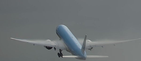 Dev yolcu uçağına yıldırım çarptı - Sputnik Türkiye