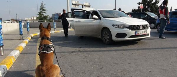 Kurt Kapanı 10 - Sputnik Türkiye