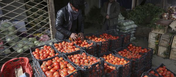 Domates - Sputnik Türkiye