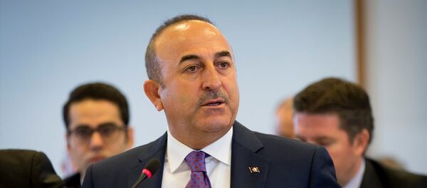 Dışişleri Bakanı Mevlüt Çavuşoğlu - Sputnik Türkiye