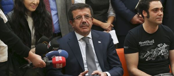 Ekonomi Bakanı Nihat Zeybekci - Sputnik Türkiye