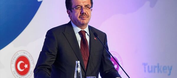 Ekonomi Bakanı Nihat Zeybekci - Sputnik Türkiye