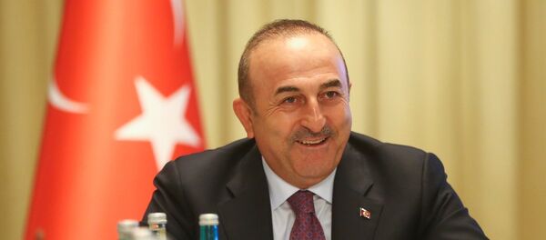 Dışişleri Bakanı Mevlüt Çavuşoğlu - Sputnik Türkiye