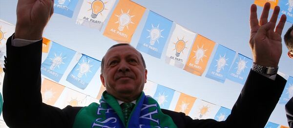 Cumhurbaşkanı Recep Tayyip Erdoğan - Sputnik Türkiye