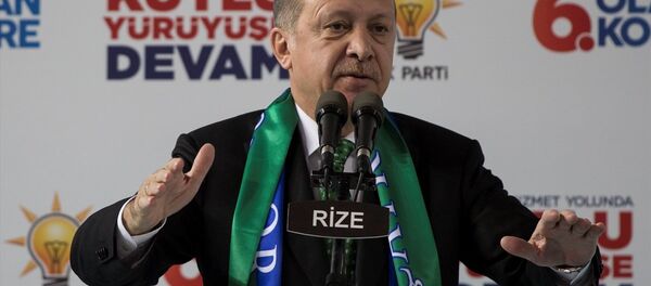 Cumhurbaşkanı Recep Tayyip Erdoğan - Sputnik Türkiye