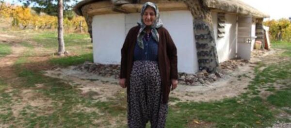 Kaplumbağaları ters çeviren insanları protesto etmek için, kaplumbağa görünümlü ev yaptı - Sputnik Türkiye