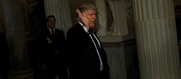 ABD Başkanı Donald Trump - Sputnik Türkiye