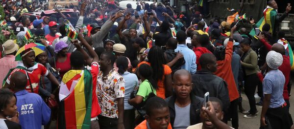 Zimbabve'de protestolar - Sputnik Türkiye