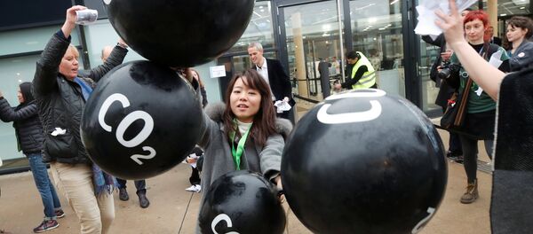 BM İklim Değişikliği Konferansı - Sputnik Türkiye