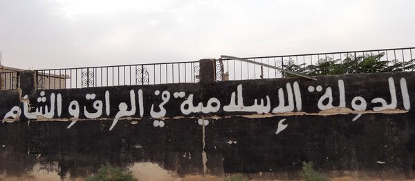 IŞİD - Sputnik Türkiye