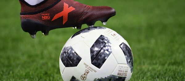 2018 FIFA Dünya Kupası - Sputnik Türkiye
