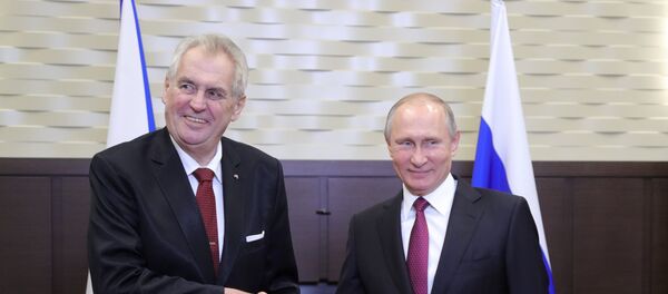 Rusya Devlet Başkanı Vladimir Putin- Çekya Devlet Başkanı Milos Zeman - Sputnik Türkiye