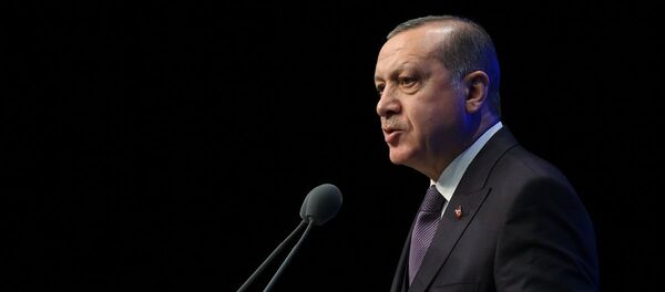 Cumhurbaşkanı Recep Tayyip Erdoğan - Sputnik Türkiye