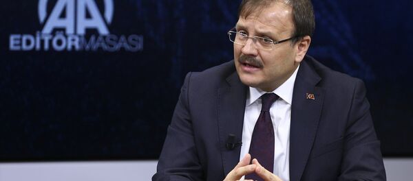 Başbakan Yardımcısı Hakan Çavuşoğlu - Sputnik Türkiye