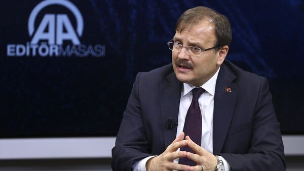Başbakan Yardımcısı Hakan Çavuşoğlu - Sputnik Türkiye