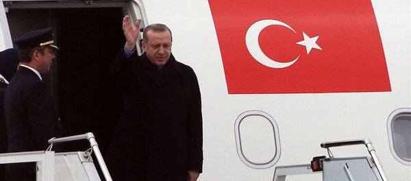 Cumhurbaşkanı Recep Tayyip Erdoğan - Uçak - Sputnik Türkiye