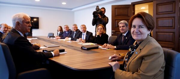 İYİ Parti Genel Başkanı Meral Akşener - Sputnik Türkiye