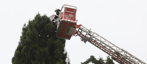 İtfaiyeden yastık kılıfı opersayonu - Sputnik Türkiye