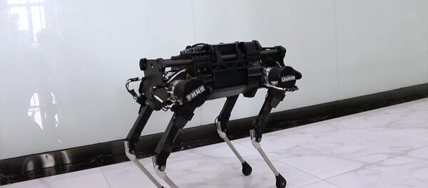 Çin’de yük çekebilen robot köpek geliştirildi - Sputnik Türkiye