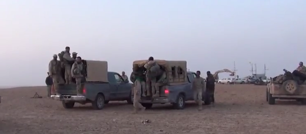 Suriye ve Irak ordusu - VİDEO - Sputnik Türkiye