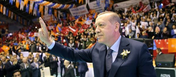 Recep Tayyip Erdoğan - Sputnik Türkiye