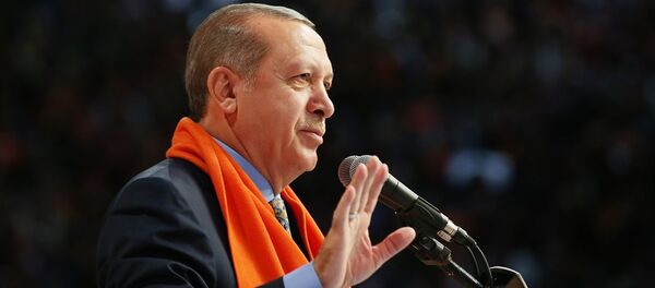 Cumhurbaşkanı Recep Tayyip Erdoğan - Sputnik Türkiye