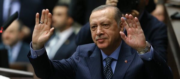 Cumhurbaşkanı Recep Tayyip Erdoğan - Sputnik Türkiye