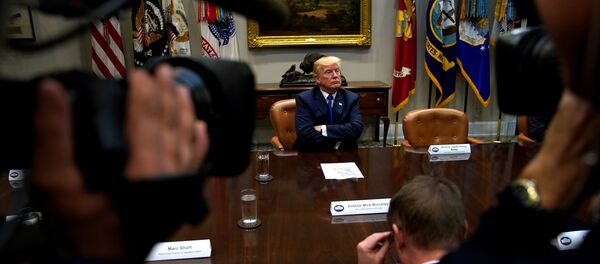 ABD Başkanı Donald Trump - Sputnik Türkiye