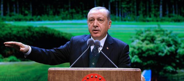 Erdoğan Cumhurbaşkanlığı Külliyesi Beştepe Millet Kongre ve Kültür Merkezi - Sputnik Türkiye