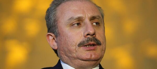 AK Parti İstanbul Milletvekili TBMM Anayasa Komisyonu Başkanı Mustafa Şentop - Sputnik Türkiye