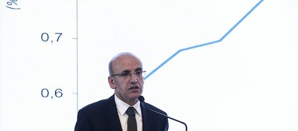 Başbakan Yardımcısı Mehmet Şimşek - Sputnik Türkiye