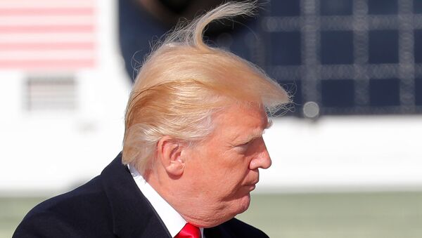 ABD Başkanı Donald Trump - Sputnik Türkiye