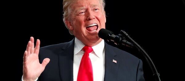 ABD Başkanı Donald Trump - Sputnik Türkiye