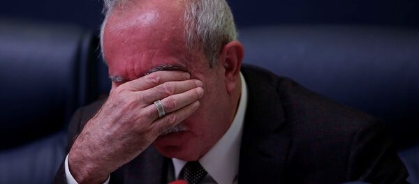 TBMM Diyarbakır Cezaevini İnceleme Alt Komisyonu Başkanı ve AK Parti Mardin Milletvekili Orhan Miroğlu - Sputnik Türkiye