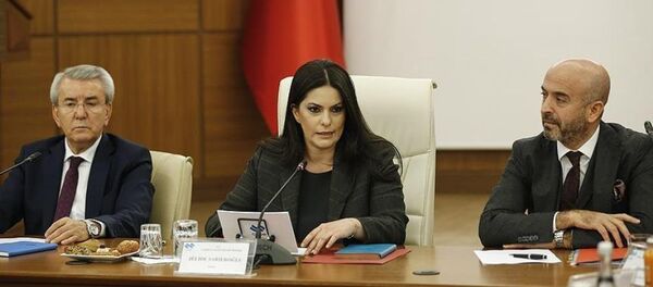 Çalışma ve Sosyal Güvenlik Bakanı Jülide Sarıeroğlu - Sputnik Türkiye