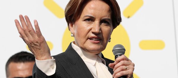 Meral Akşener - Sputnik Türkiye
