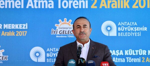 Dışişleri Bakanı Mevlüt Çavuşoğlu - Sputnik Türkiye