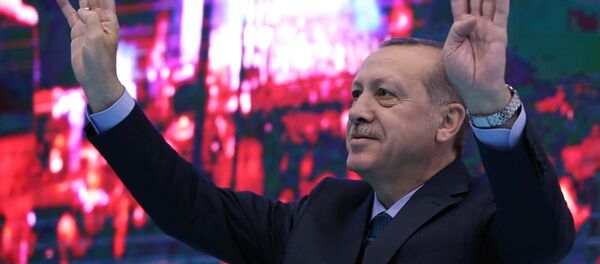 Cumhurbaşkanı Recep Tayyip Erdoğan - Sputnik Türkiye