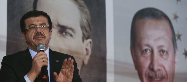 Ekonomi Bakanı Nihat Zeybekci - Sputnik Türkiye