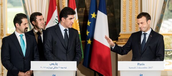 Fransa Cumhurbaşkanı Emmanuel Macron- IKBY Başbakanı Neçirvan Barzani - Sputnik Türkiye