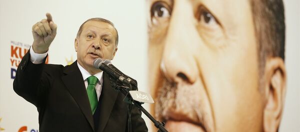 Cumhurbaşkanı Recep Tayyip Erdoğan - Sputnik Türkiye