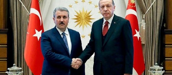 Destici - Erdoğan - Sputnik Türkiye