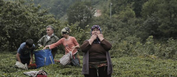 Islık Dili - Sputnik Türkiye