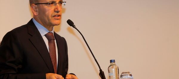 Başbakan Yardımcısı Mehmet Şimşek - Sputnik Türkiye