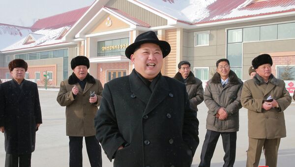 Kuzey Kore lideri Kim Jong-un patates unu fabrikasını teftişte - Sputnik Türkiye