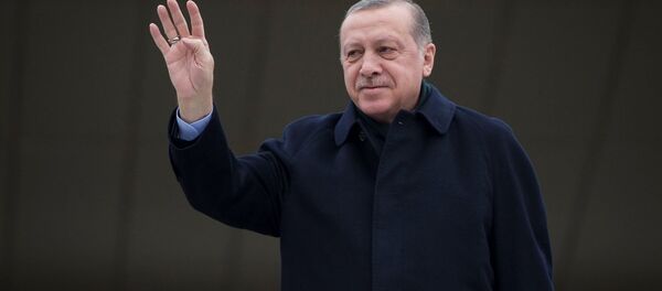 Cumhurbaşkanı Recep Tayyip Erdoğan Cumhurbaşkanı Recep Tayyip Erdoğan - Sputnik Türkiye
