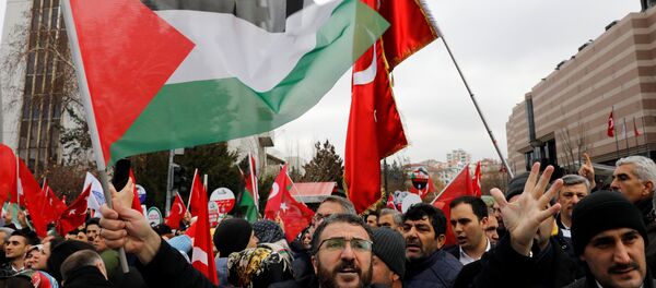 ankara abd protesto - Sputnik Türkiye