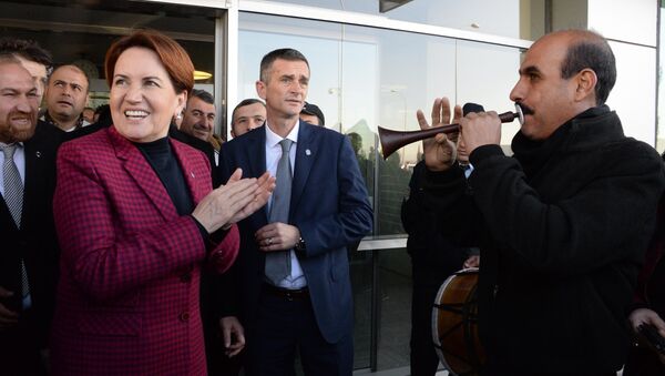 İYİ Parti Genel Başkanı Meral Akşener - Sputnik Türkiye