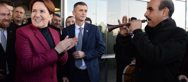 İYİ Parti Genel Başkanı Meral Akşener - Sputnik Türkiye