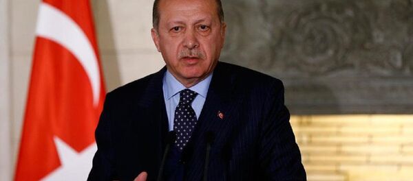 Erdoğan Erdoğan - Sputnik Türkiye